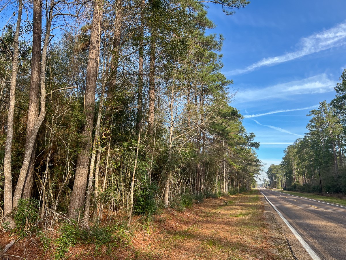 T-7 T-7 Tall Cotton Road Saratoga, TX 77585 - Photo 2 of 34