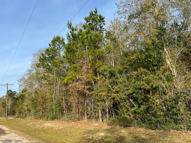 a backyard of a house with lots of trees