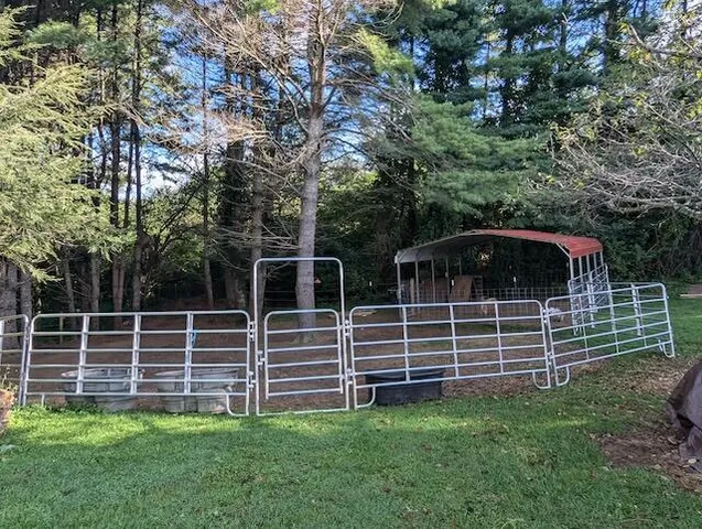 a view of a yard with a bench