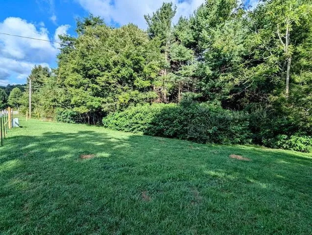 a view of a lush green space