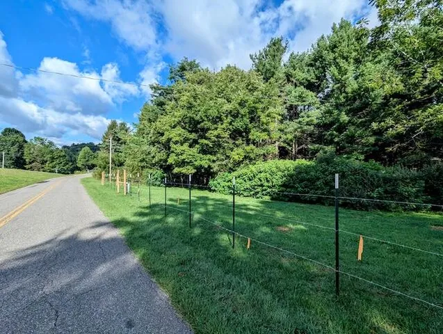 a view of a park with plants and trees