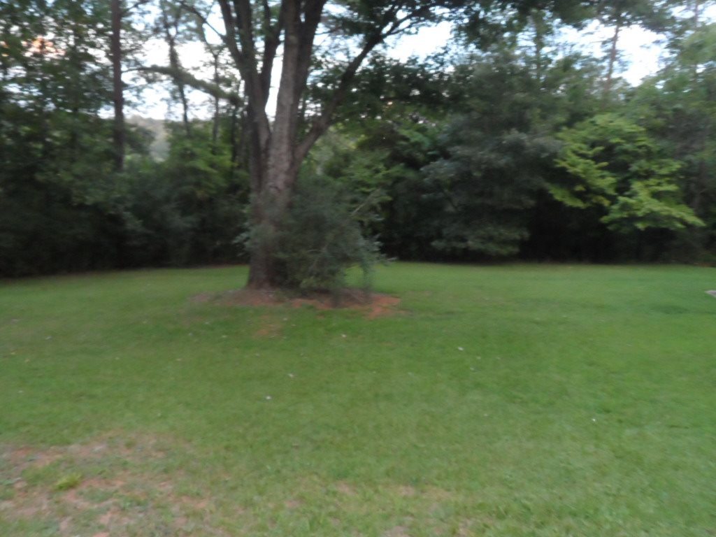 225 B D Johnston Road Central, SC 29630 - Photo 9 of 25 Gallery Image 9