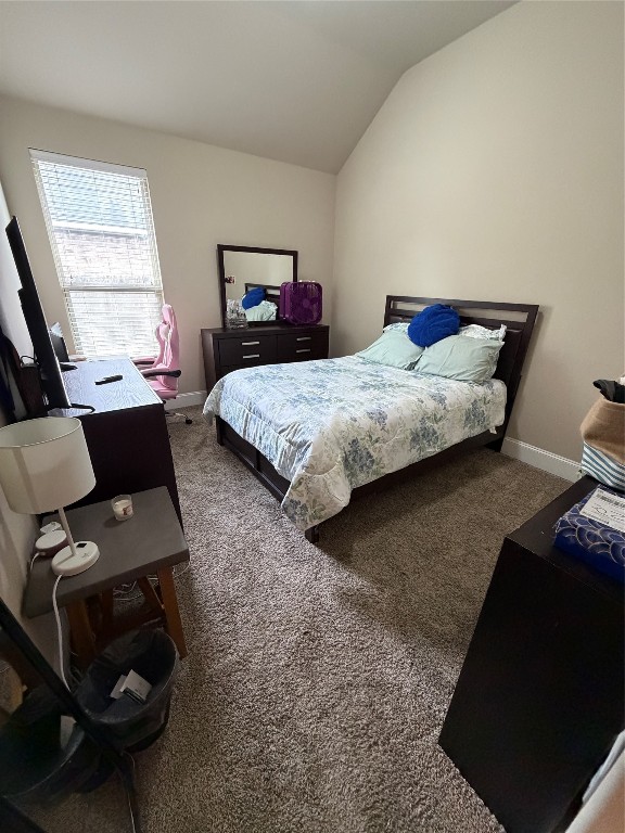 507 Summer Arbor Circle Rosenberg, TX 77469 - Photo 16 of 29 SECONDARY BEDROOM