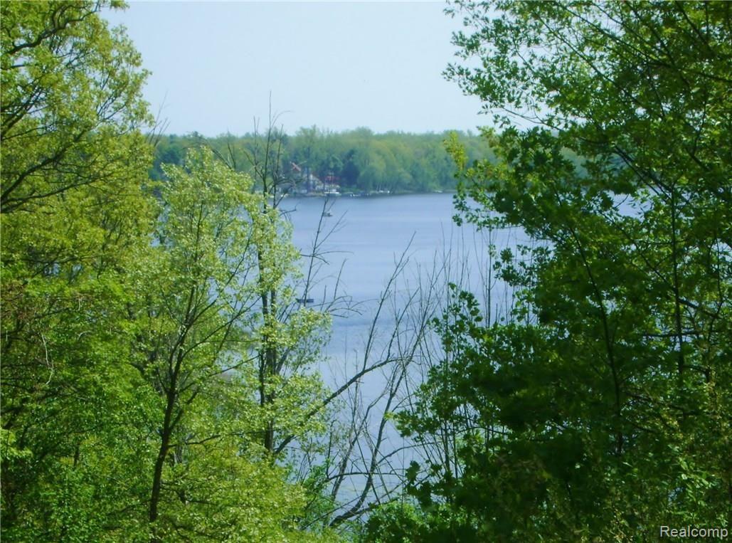 5590 Big Fish Lake Road Goodrich, MI 48438 - Photo 11 of 46 DSC03351.JPG