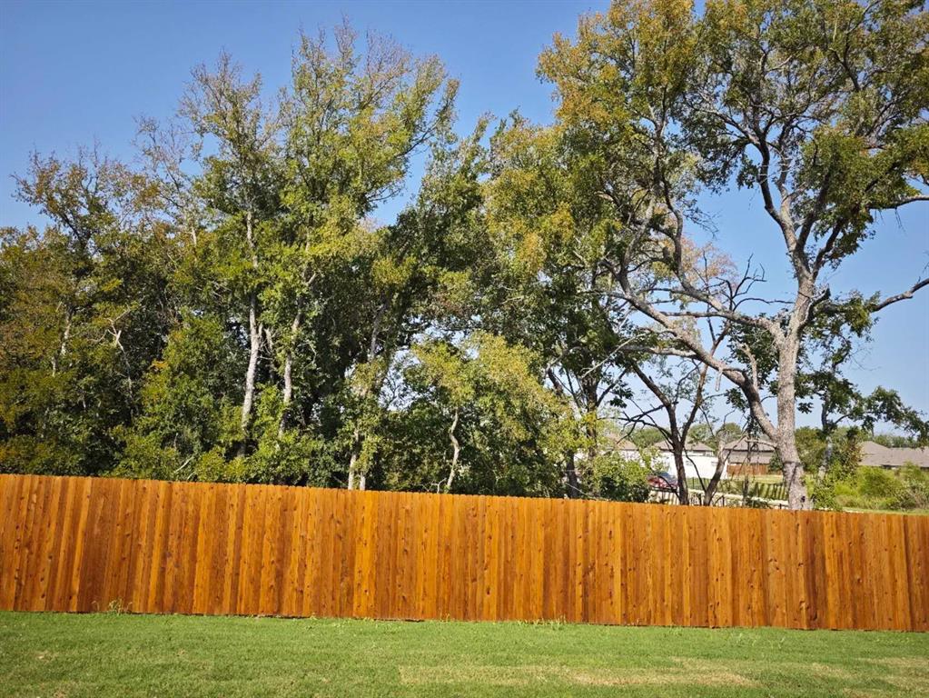 2111 Burnwood Street Melissa, TX 75454 - Photo 18 of 18 a view of a yard