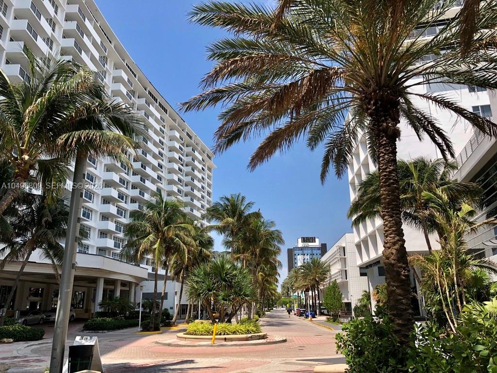 100 Lincoln Road, Unit 1423 Miami Beach, FL 33139 - Photo 52 of 56 a palm tree sitting in front of a building