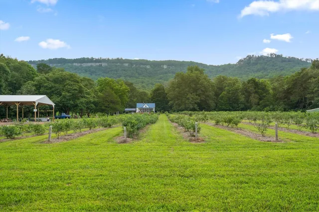 $689,000 | Lot 112 Pinnacle Pt Lane, Dunlap, TN 37327