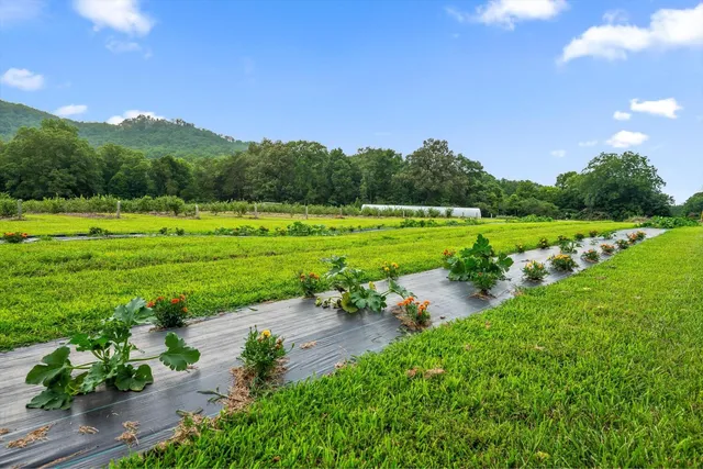 $689,000 | Lot 112 Pinnacle Pt Lane, Dunlap, TN 37327