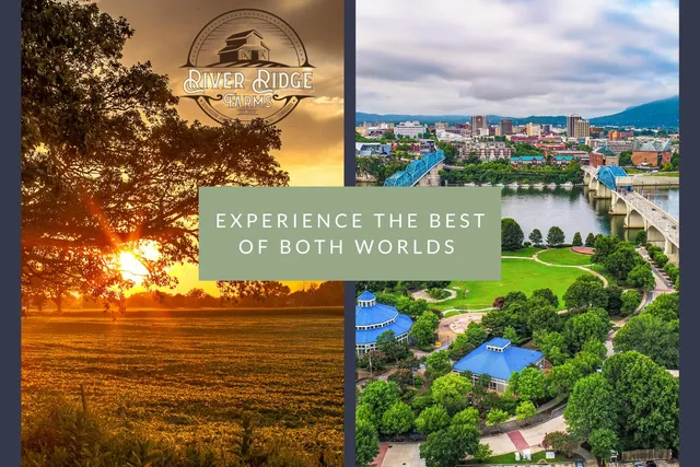 $689,000 | Lot 112 Pinnacle Pt Lane, Dunlap, TN 37327