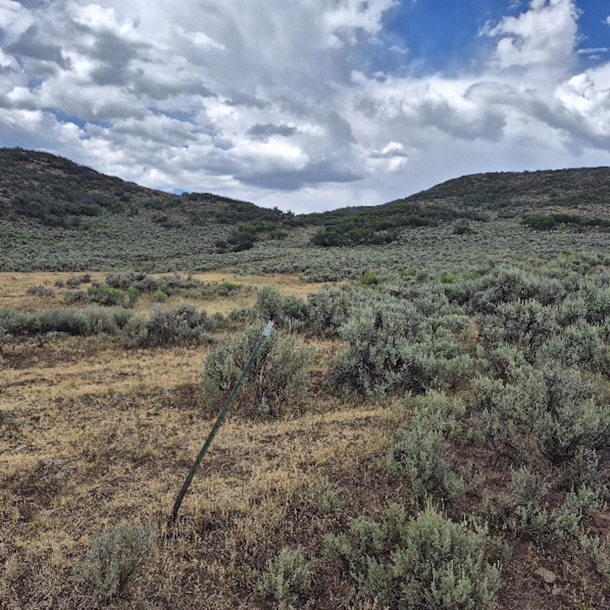 Tbd Harrison Creek Road Collbran, CO 81624 - Photo 35 of 40 Gallery Image 35