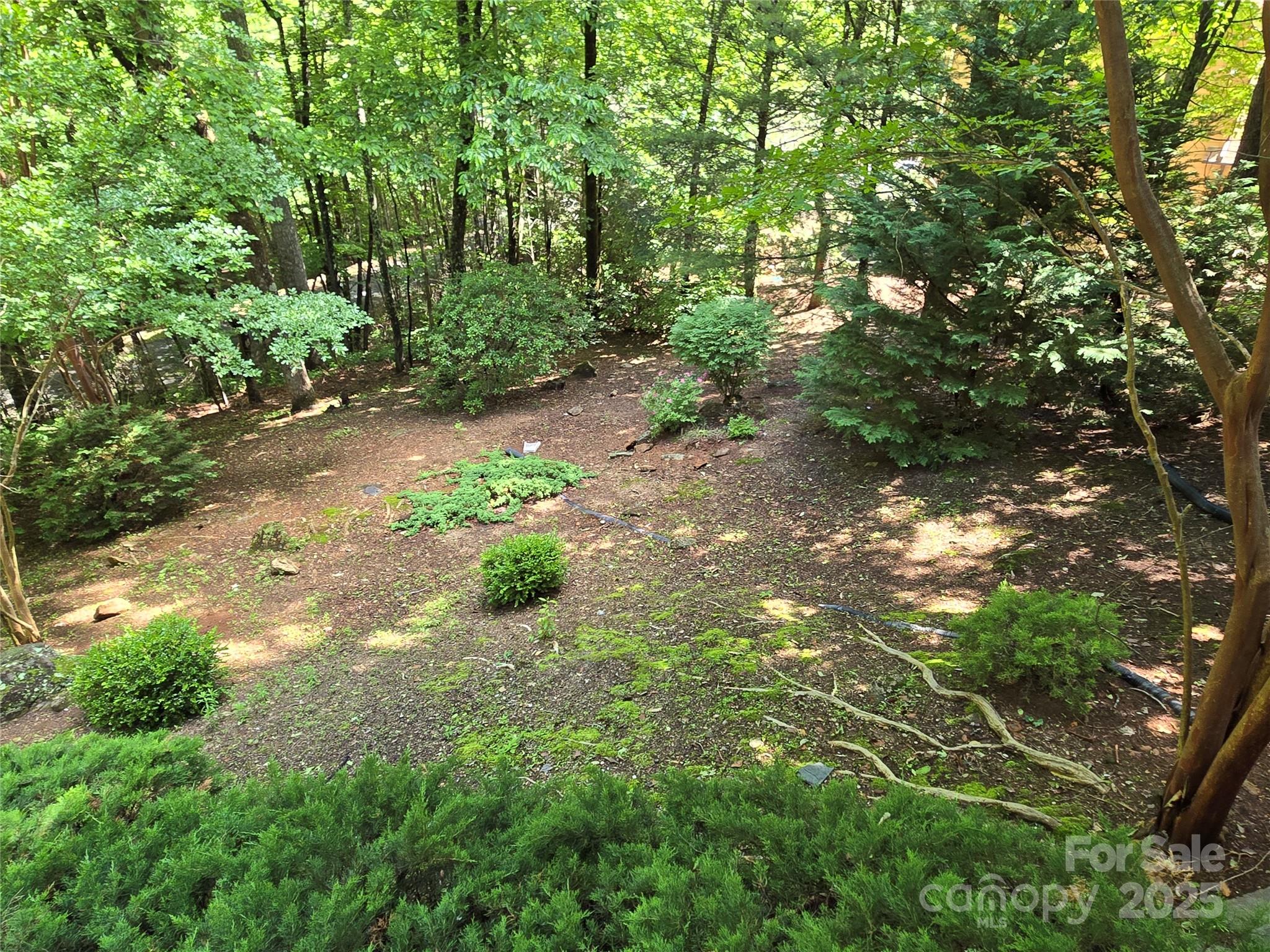 124 Cardinal Road Lake Lure, NC 28746 - Photo 12 of 36 Gallery Image 12