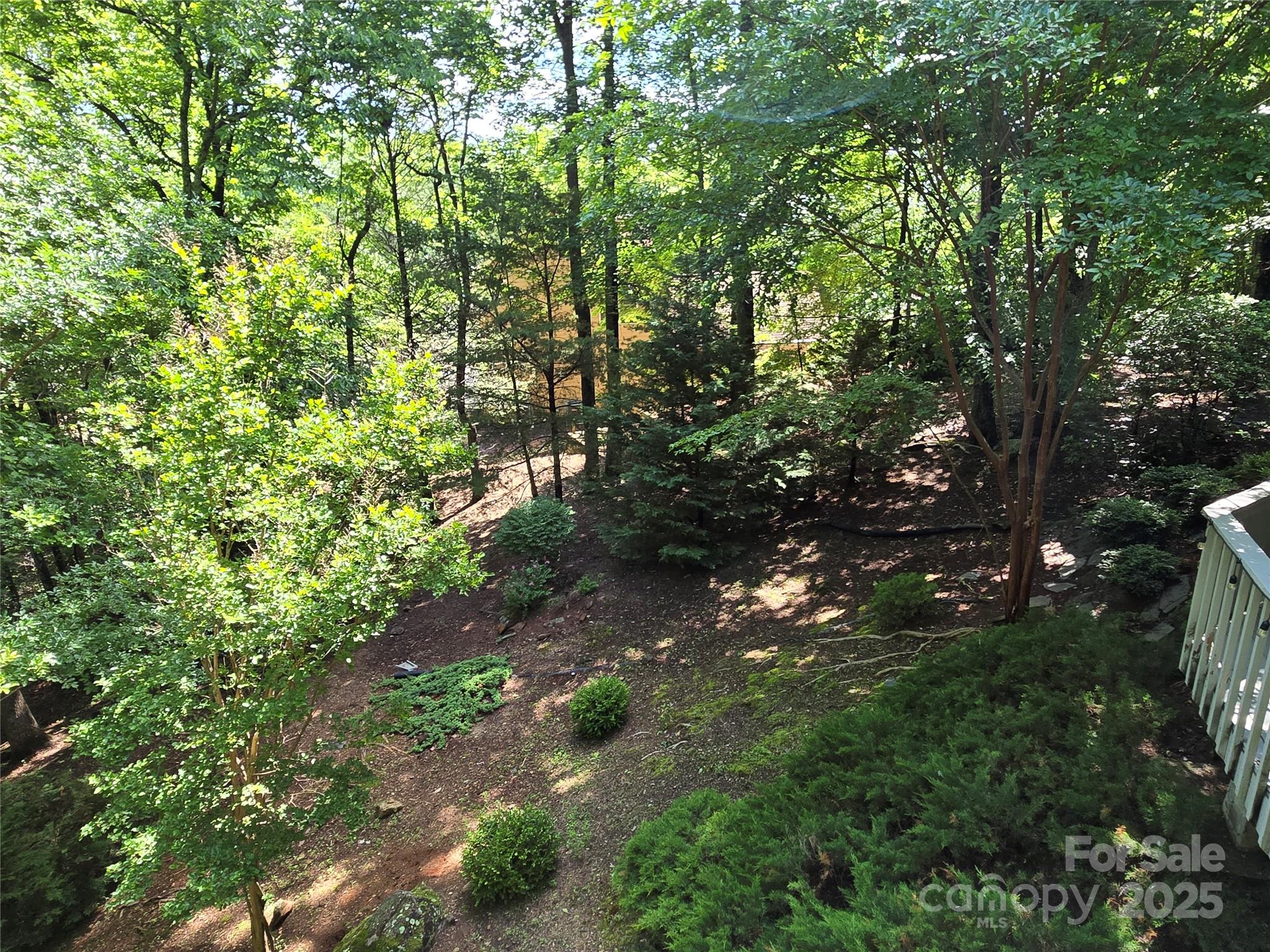 124 Cardinal Road Lake Lure, NC 28746 - Photo 13 of 36 Gallery Image 13