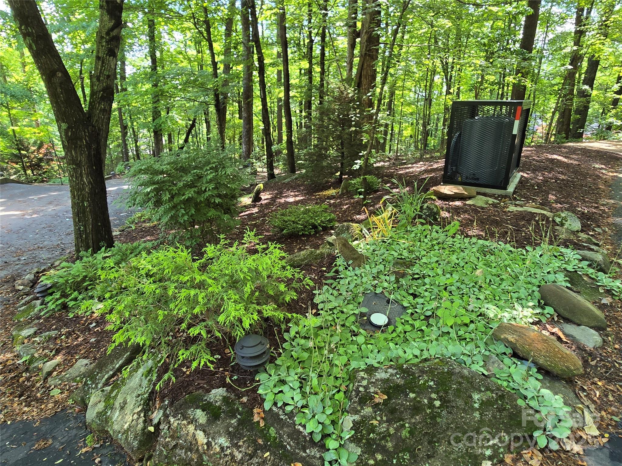 124 Cardinal Road Lake Lure, NC 28746 - Photo 14 of 36 Gallery Image 14