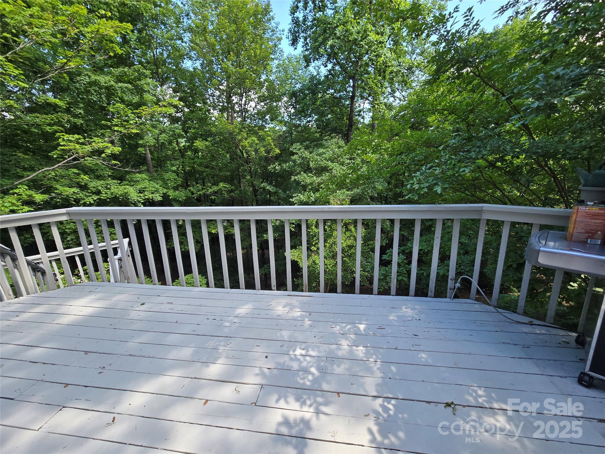 124 Cardinal Road Lake Lure, NC 28746 - Photo 9 of 36 Gallery Image 9