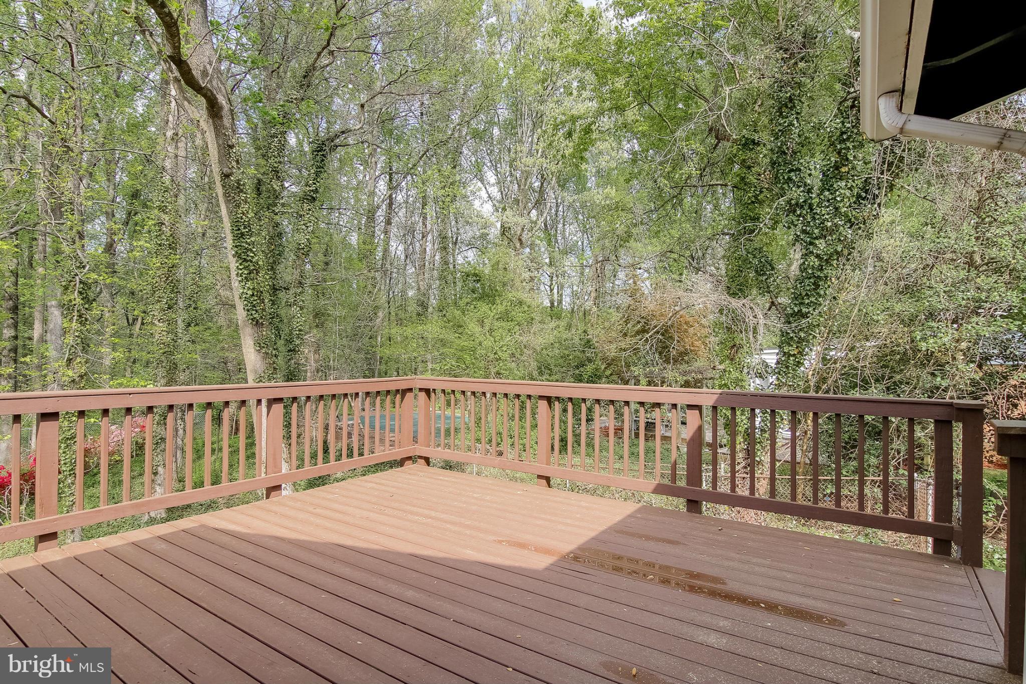 6303 Alberta Street Springfield, VA 22152 - Photo 24 of 27 Exterior (Rear)