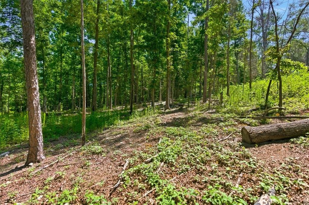 0 Williams Road Southeast Silver Creek, GA 30173 - Photo 20 of 35