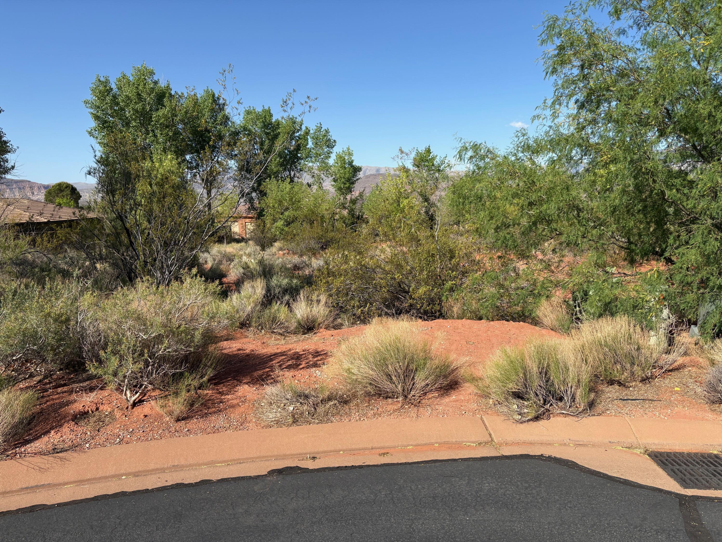 Tbd North Agave Way, Unit 107 Ivins, UT 84738 - Photo 2 of 6 Cul-De Sac View