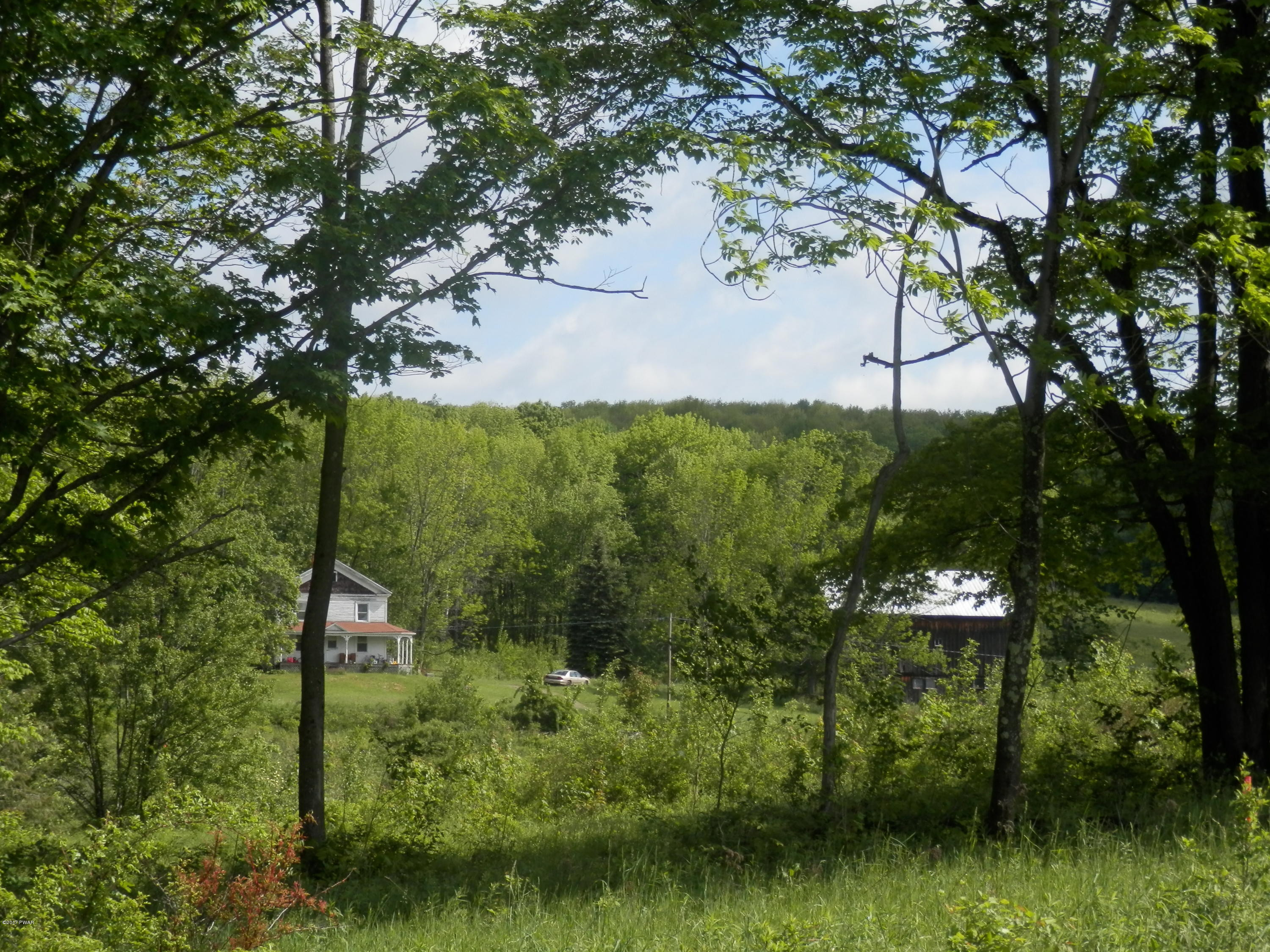 45 Lake Cross Road Pleasant Mount, PA 18453 - Photo 39 of 46 HOUSE AND BARN IN THE DISTANTS