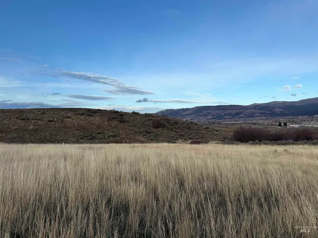 $499,000 | Tbd Tbd Deer Loop Road, Council, ID 83612