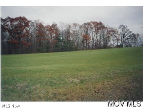 0 Oak Hill Rd (c Rd 18) Waterford, OH 45772 - Photo 5 of 5 Gallery Image 5