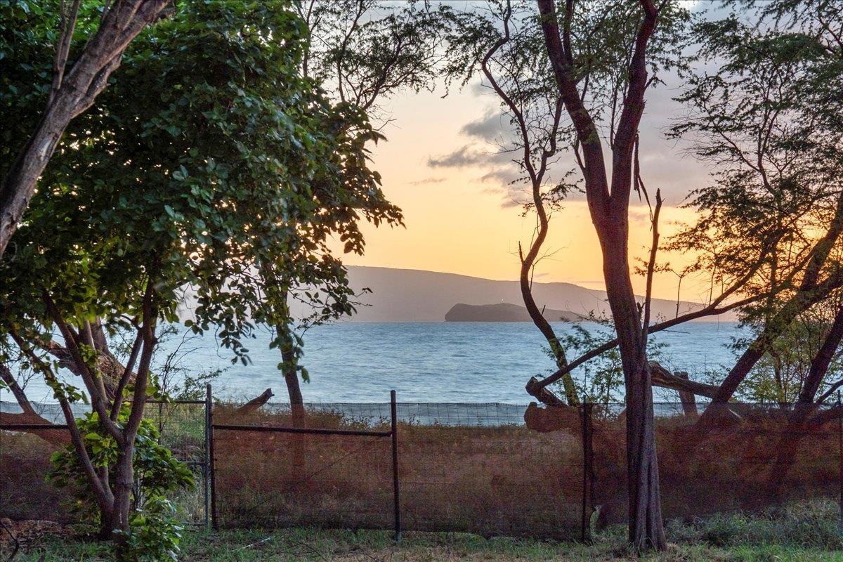 0 Makena Alanui Road Kihei, HI 96753 - Photo 16 of 50 a backyard of a house with lots of trees