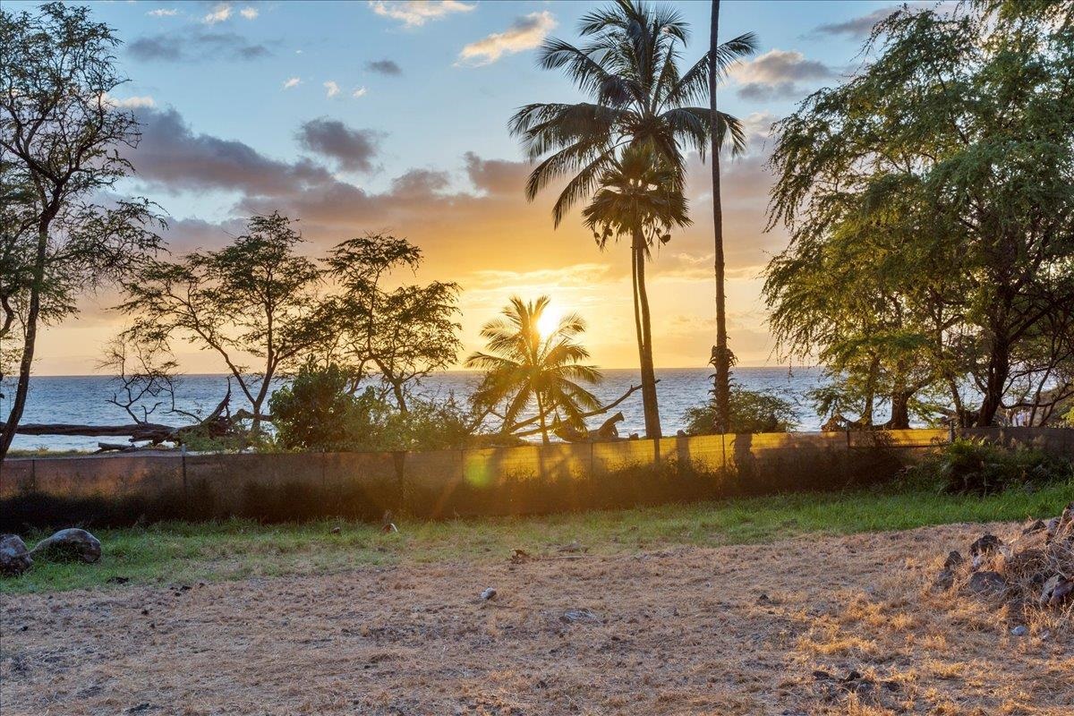 0 Makena Alanui Road Kihei, HI 96753 - Photo 40 of 50 a view of a yard with a tree