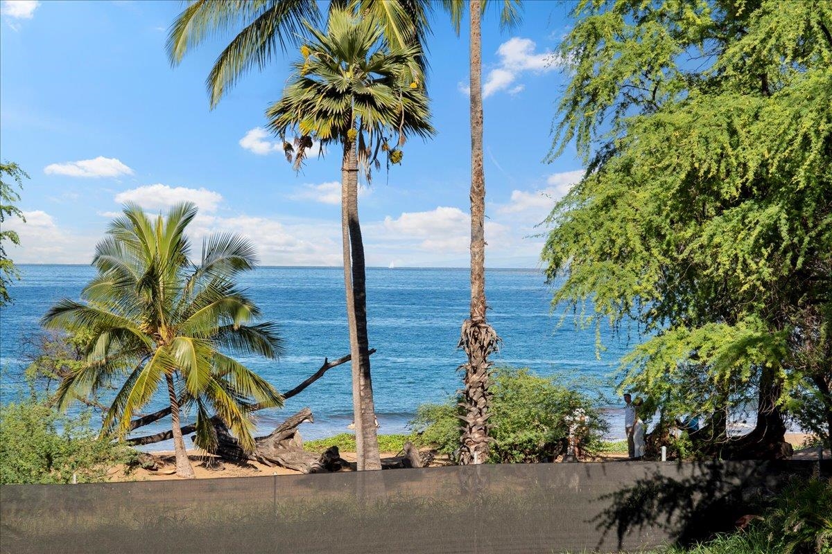 0 Makena Alanui Road Kihei, HI 96753 - Photo 44 of 50 a picture of plants