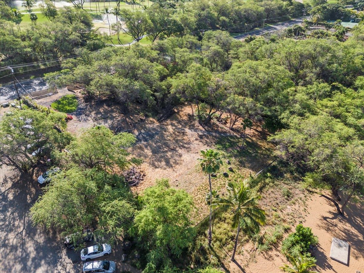 0 Makena Alanui Road Kihei, HI 96753 - Photo 49 of 50 a view of a plants and trees