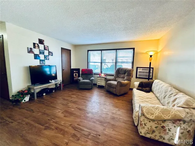 $1,400,000 | 207 South 5th Street, Louisiana, MO 63353