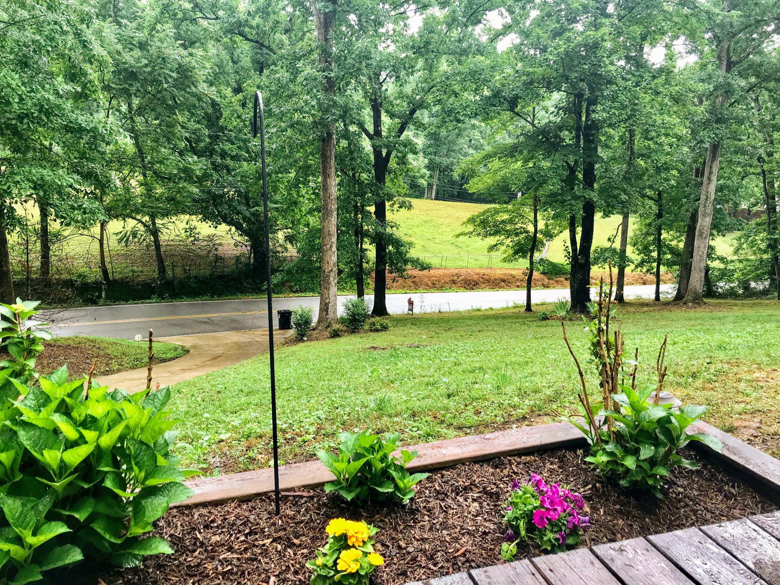 1002 Daugherty Ferry Road Sale Creek, TN 37373 - Photo 12 of 41 Nature all around!