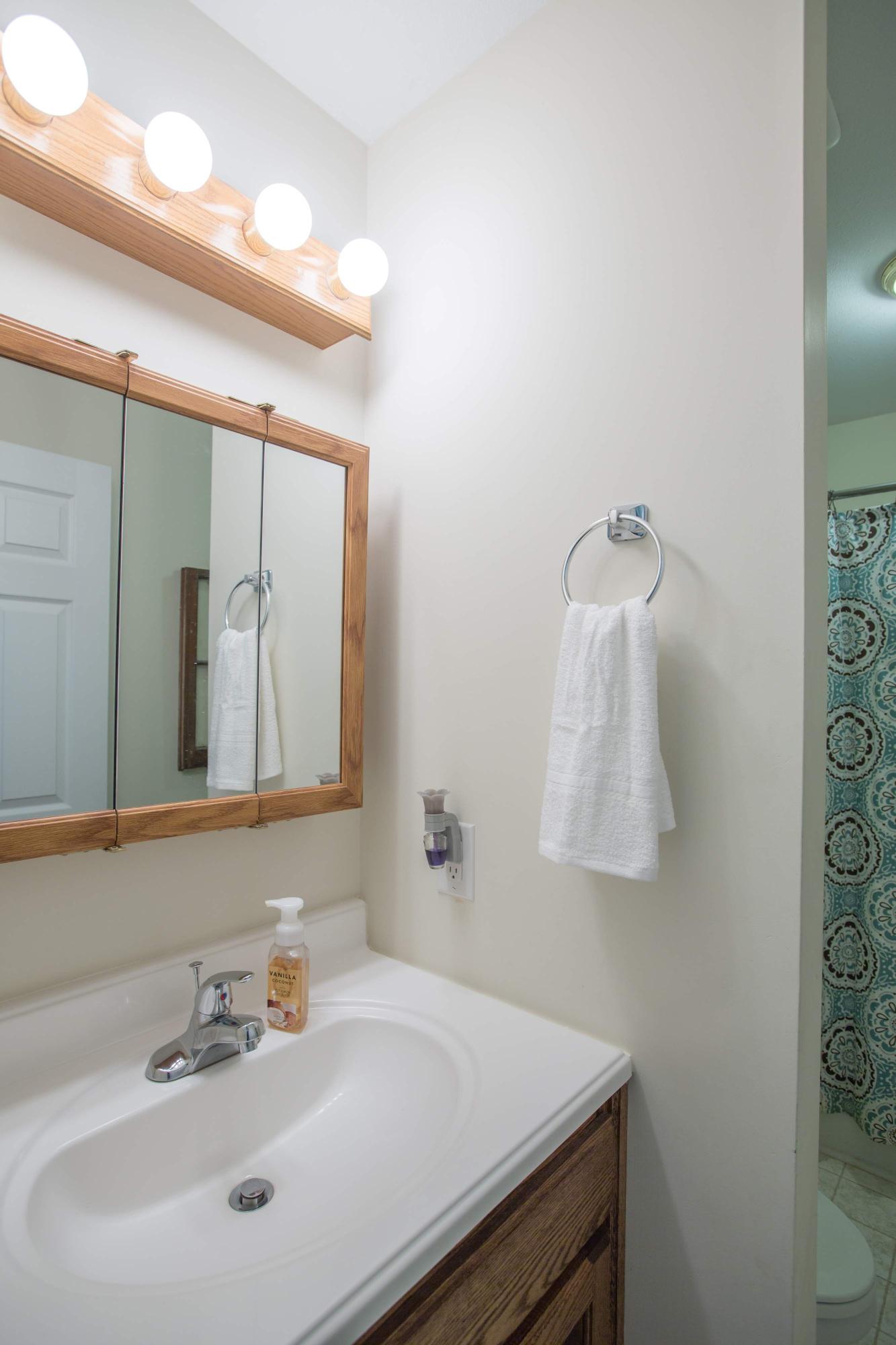 1002 Daugherty Ferry Road Sale Creek, TN 37373 - Photo 28 of 41 Hallway Full Bath