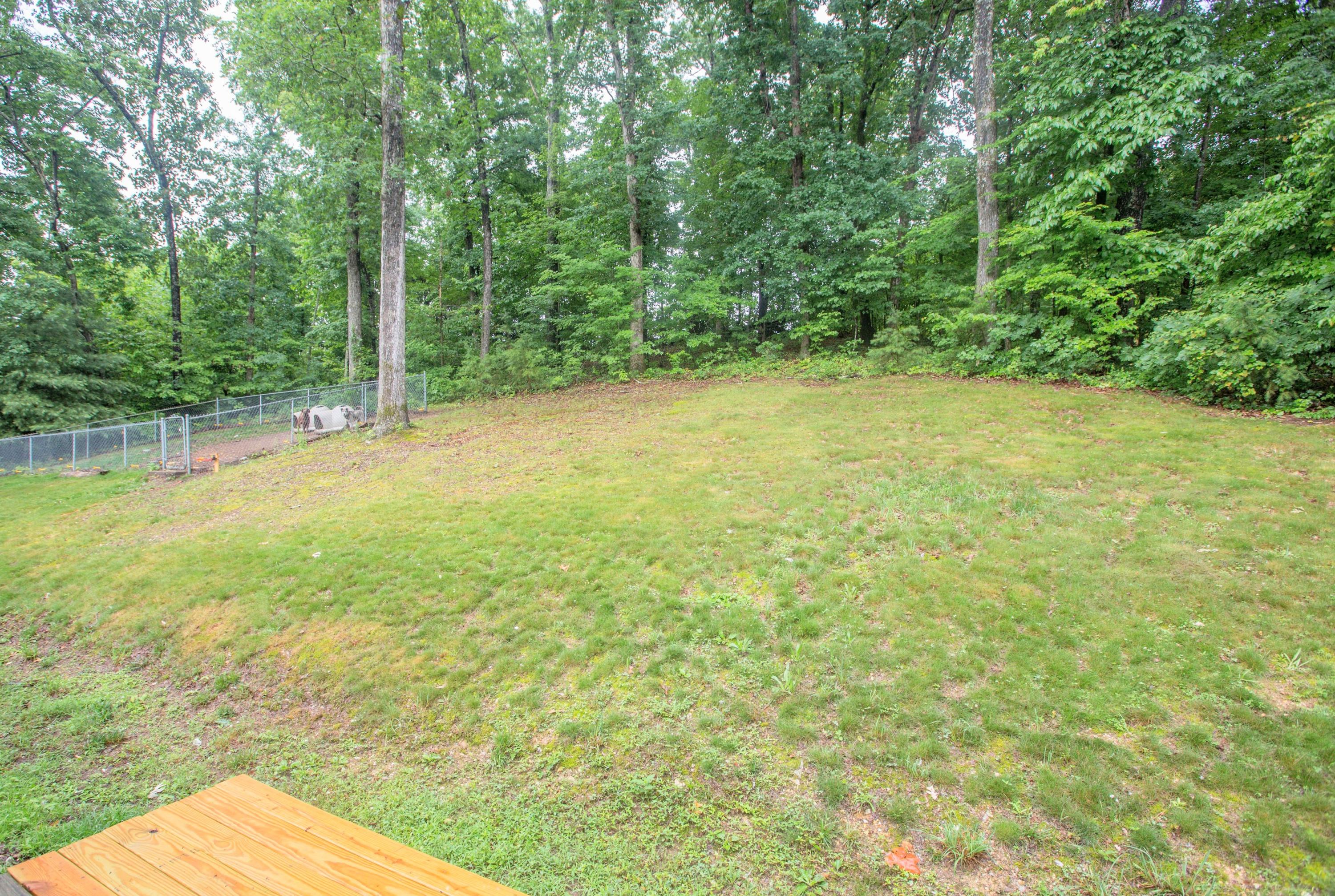 1002 Daugherty Ferry Road Sale Creek, TN 37373 - Photo 9 of 41 Spacious Backyard!