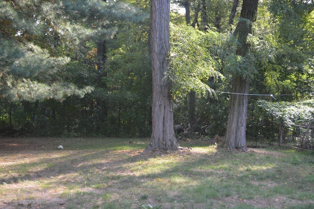 136 Allen Road Billerica, MA 01821 - Photo 20 of 20 Gallery Image 20