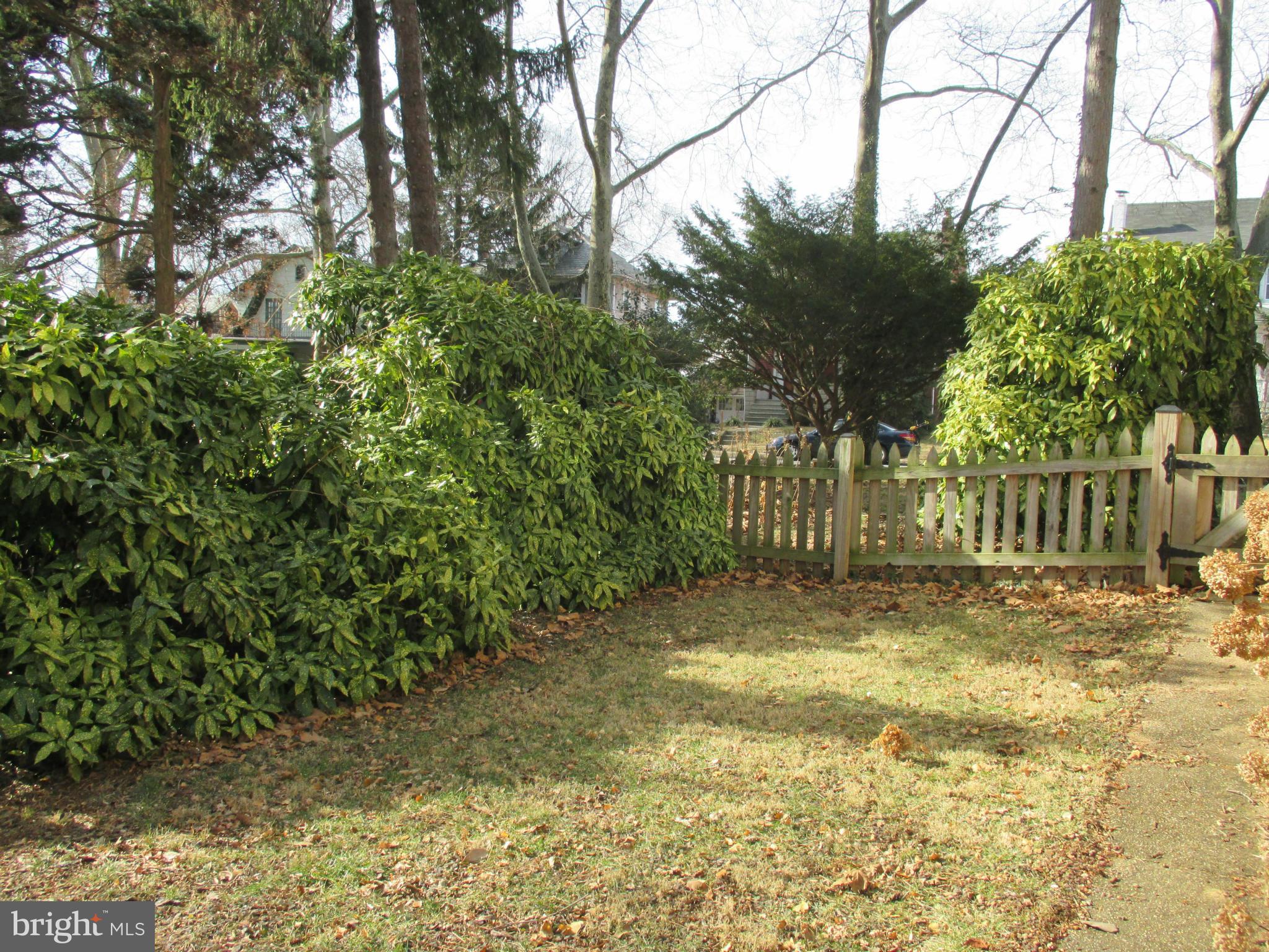 203 Mallow Hill Road Baltimore, MD 21229 - Photo 25 of 30 View of side yard, extra large lot, private
