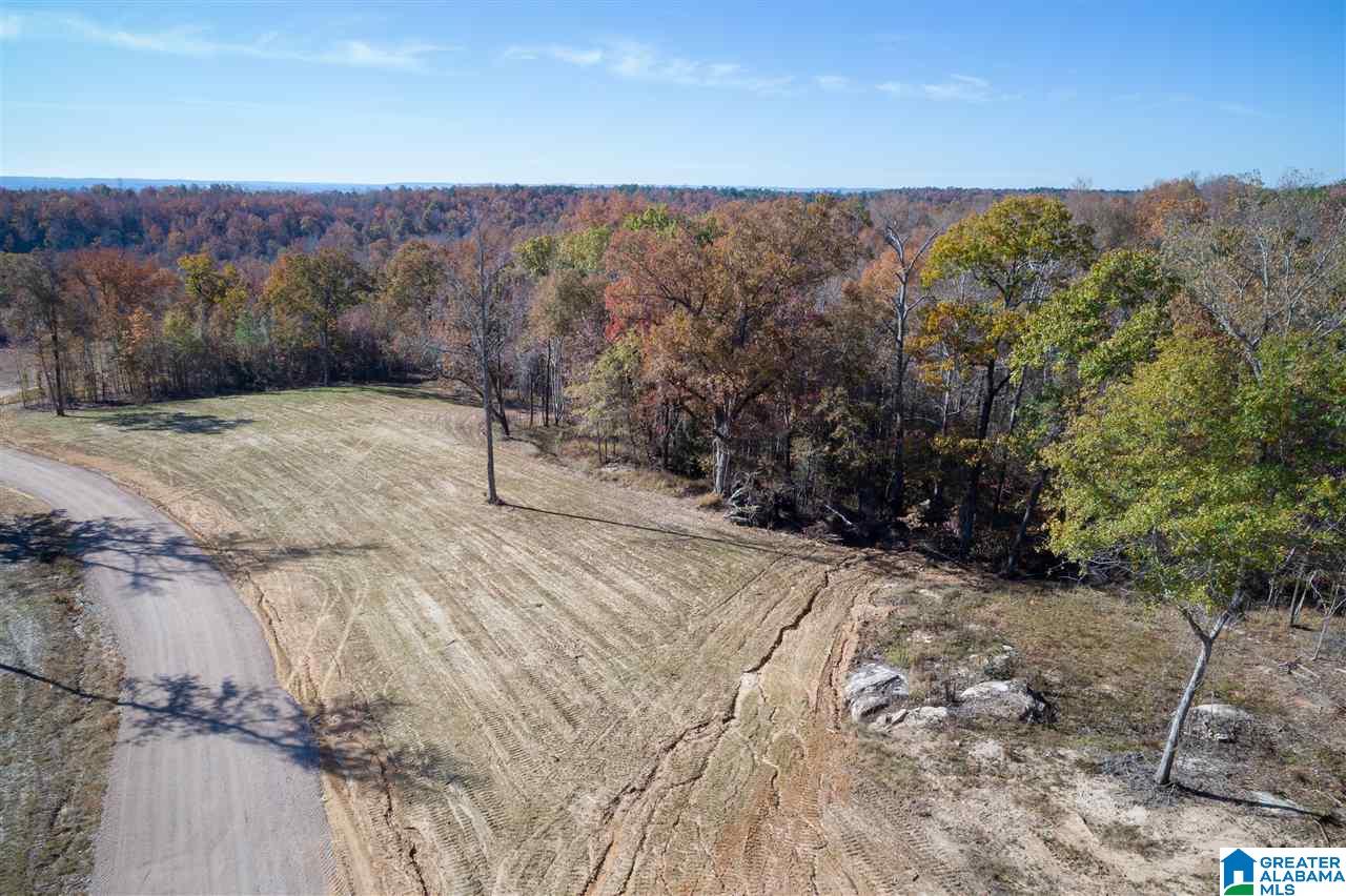 5721 South Shades Crest Road, Unit 1 Helena, AL 35022 - Photo 3 of 9