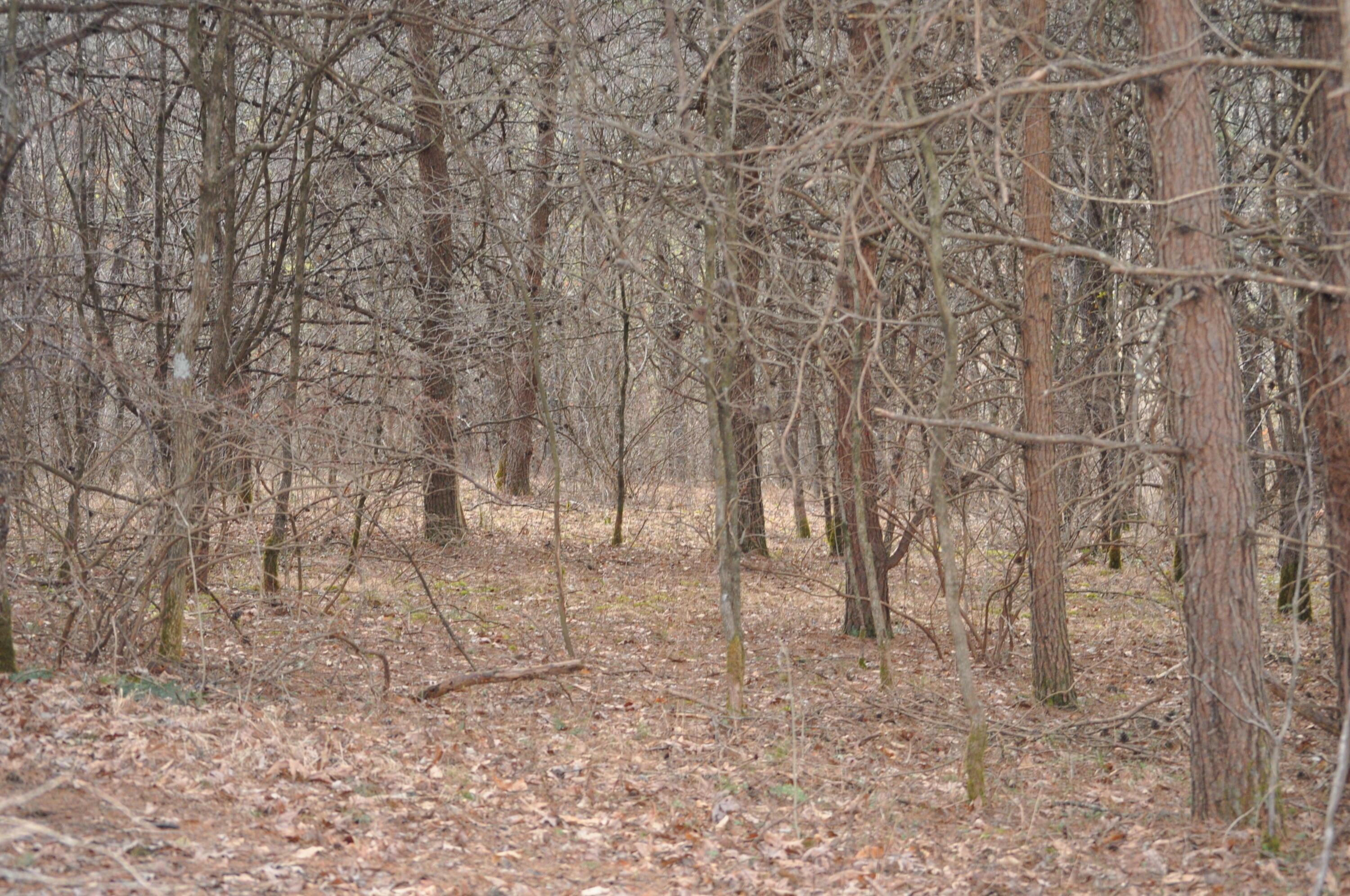 22808 Griffith Road Logan, OH 43138 - Photo 20 of 28 DSC_0320