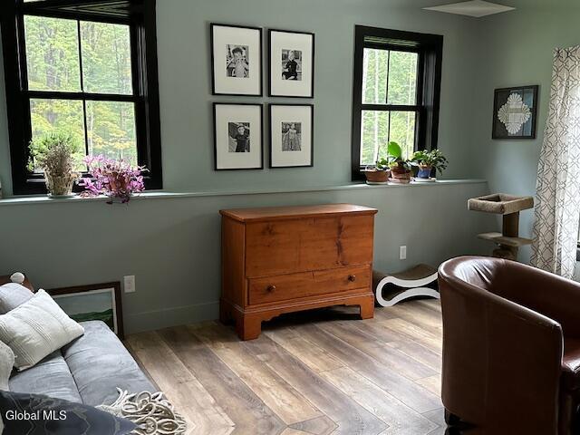 50 Lincoln Mountain Road Corinth, NY 12822 - Photo 28 of 40 IMG_2598