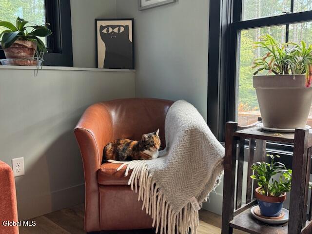 50 Lincoln Mountain Road Corinth, NY 12822 - Photo 8 of 40 IMG_4837