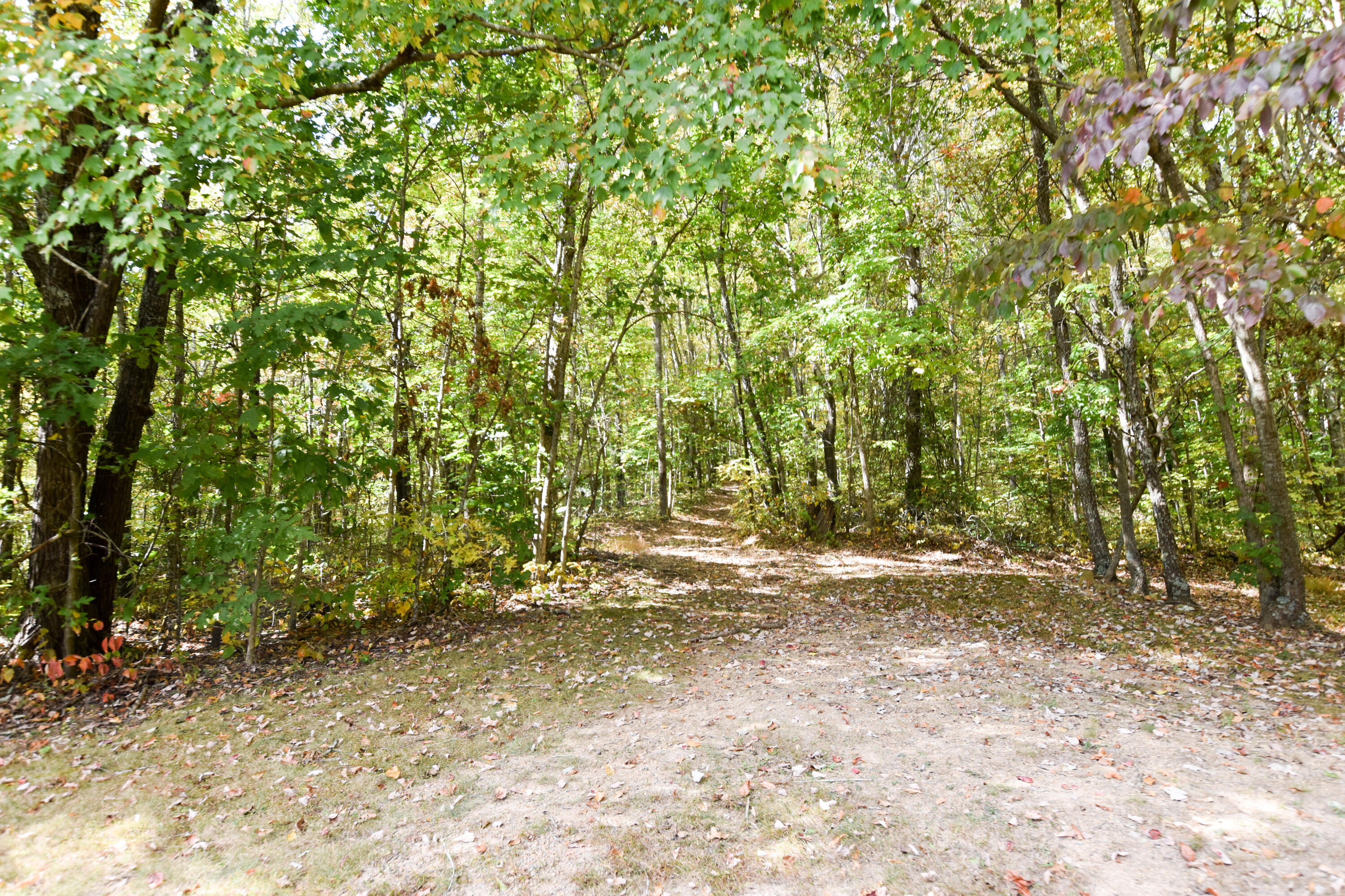 2390 Beechy Creek Road Wallingford, KY 41093 - Photo 36 of 89 DSC_0096
