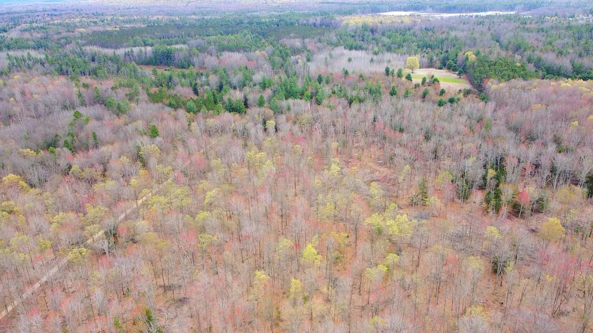 Southeast Spencer Road Southeast Kalkaska, MI 49646 - Photo 15 of 36