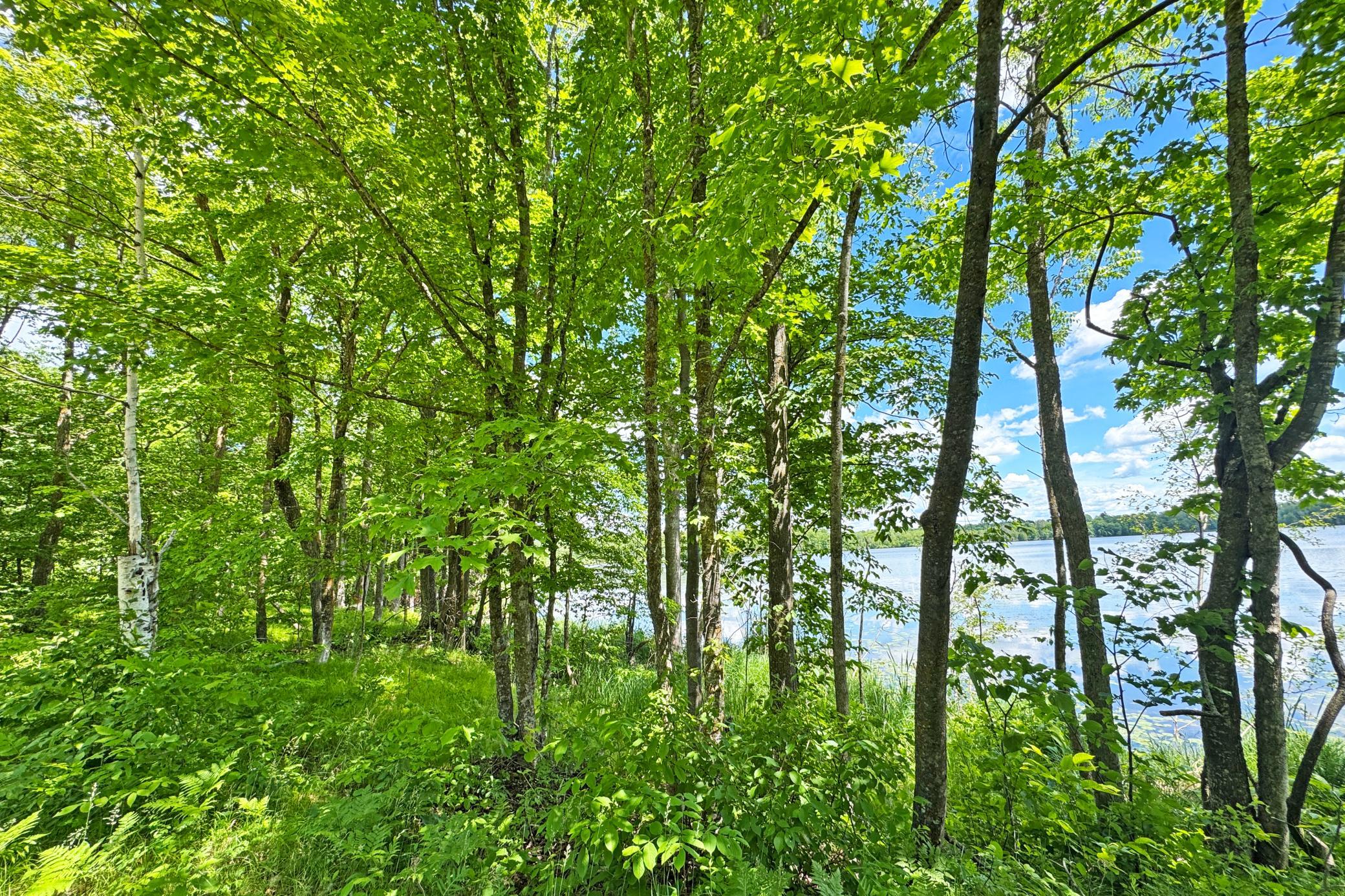 0 Perry Lake Road Crosby, MN 56441 - Photo 16 of 42
