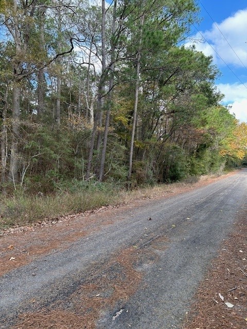 4807 Cathey Lane Navasota, TX 77868 - Photo 3 of 8 a view of a dirt road with large trees