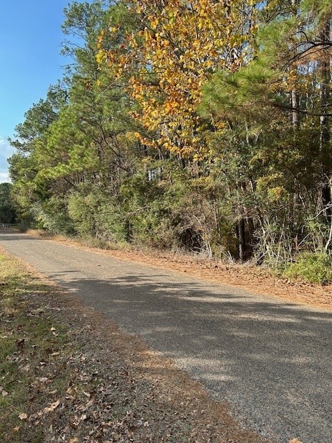 4807 Cathey Lane Navasota, TX 77868 - Photo 5 of 8 a view of ocean view with beach