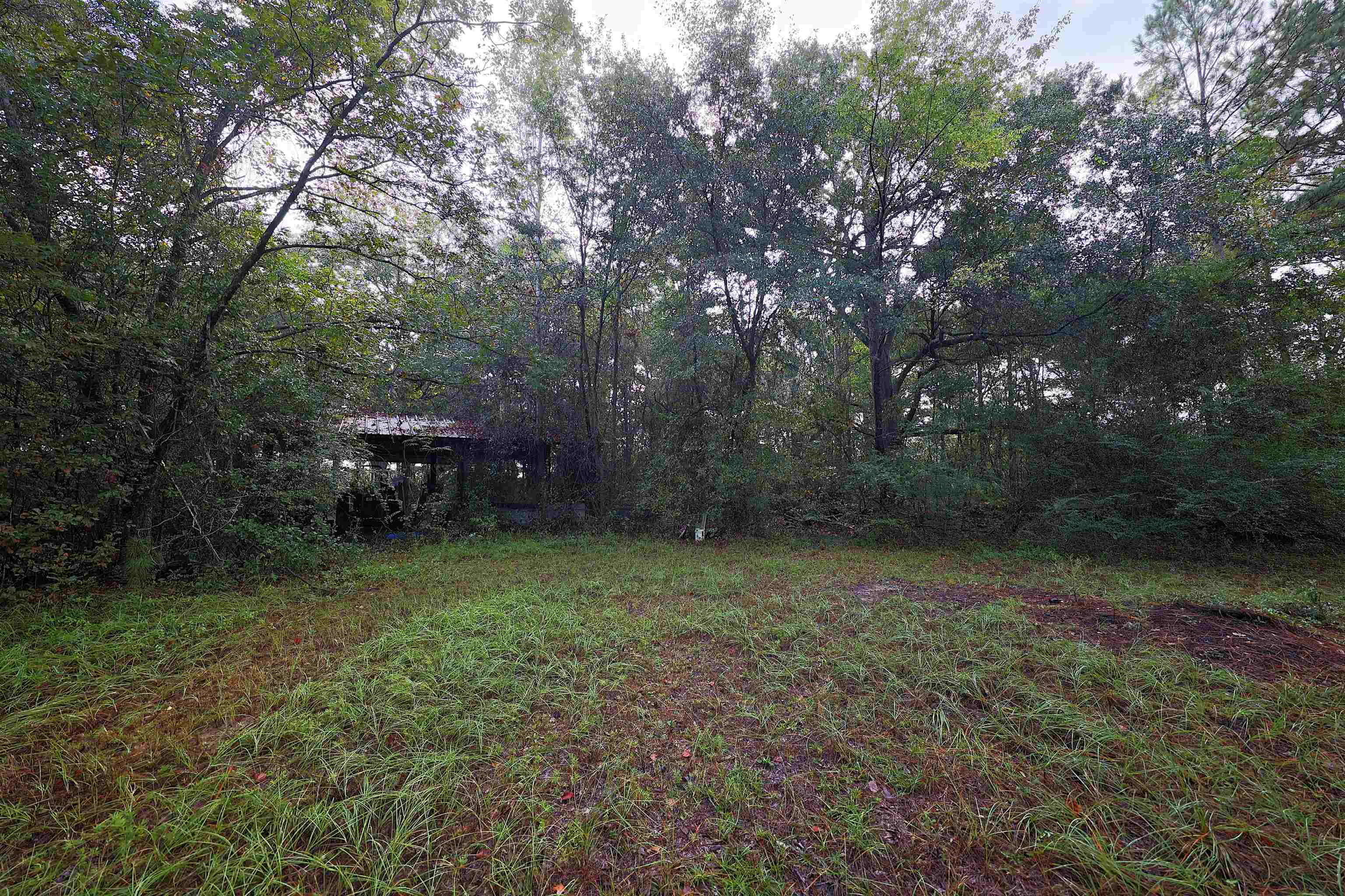 23481 Highway 19 Ochlocknee, GA 31773 - Photo 18 of 26