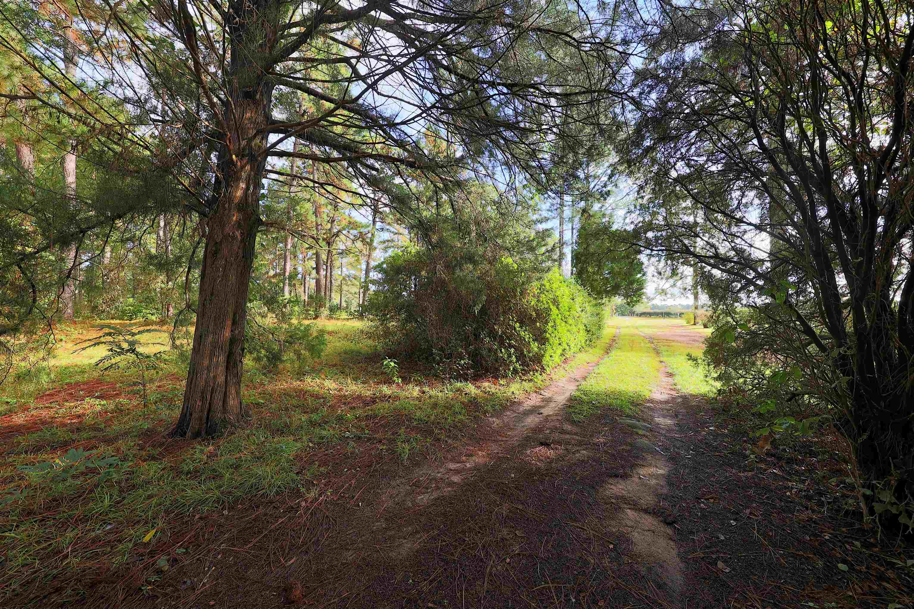 23481 Highway 19 Ochlocknee, GA 31773 - Photo 19 of 26