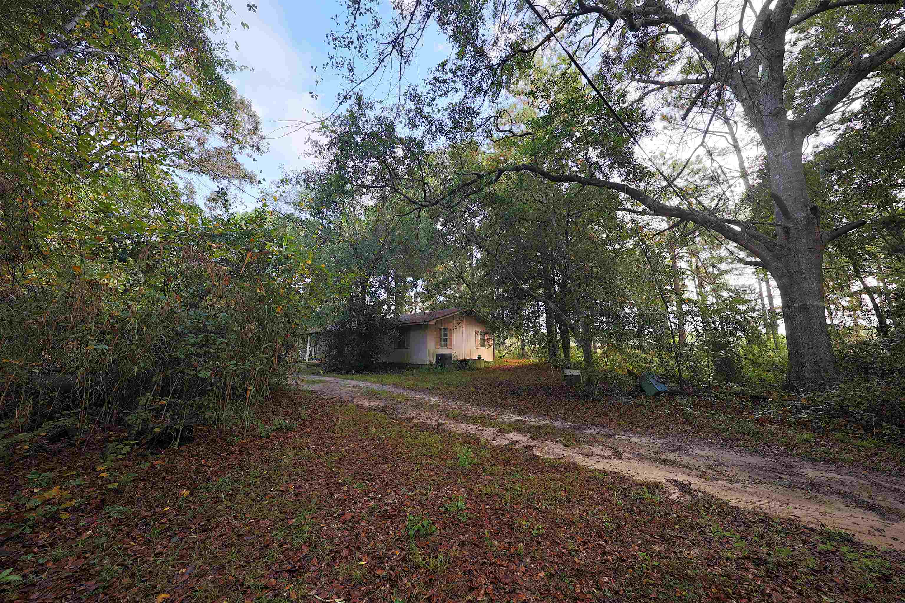 23481 Highway 19 Ochlocknee, GA 31773 - Photo 20 of 26