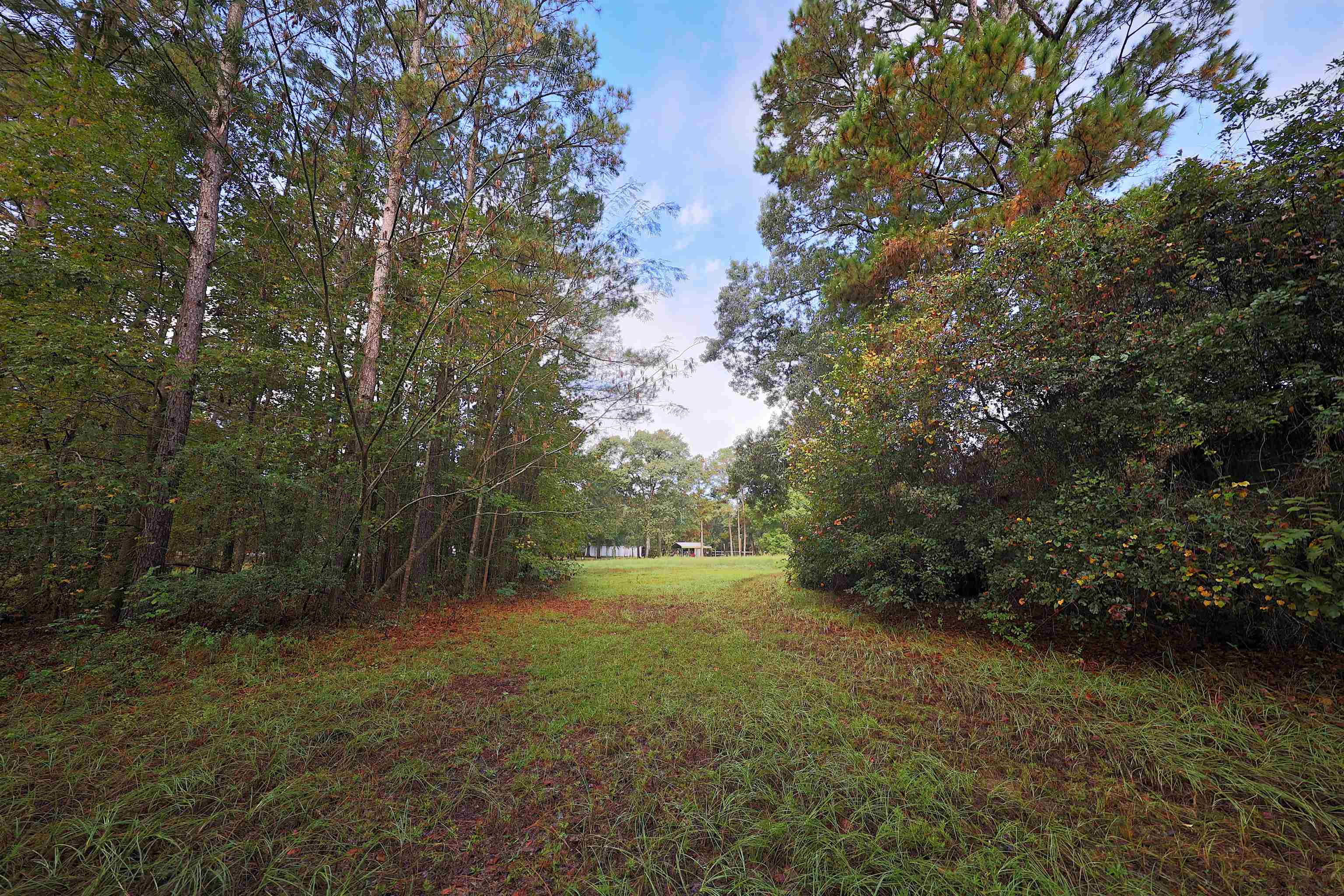 23481 Highway 19 Ochlocknee, GA 31773 - Photo 2 of 26