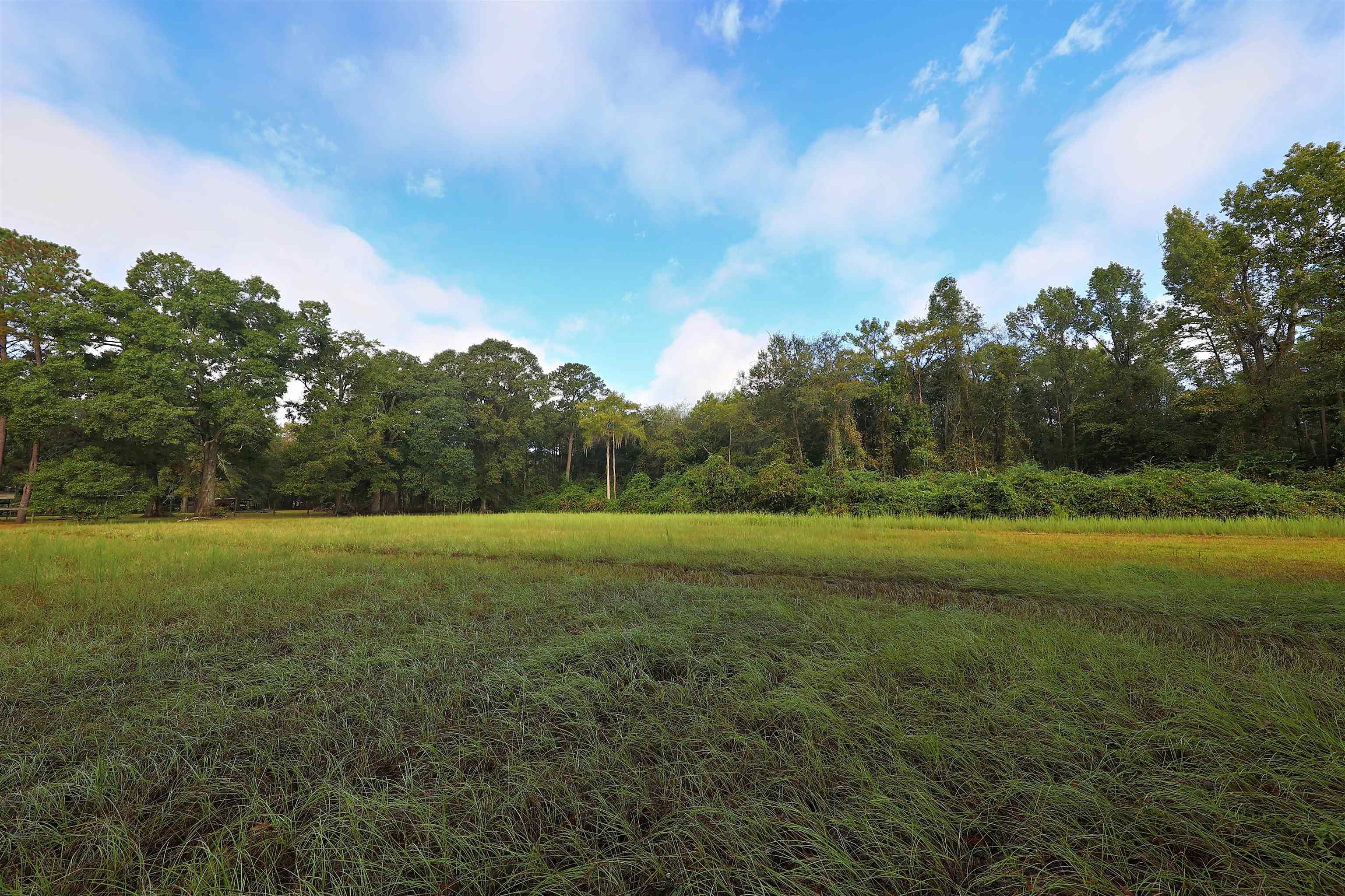 23481 Highway 19 Ochlocknee, GA 31773 - Photo 25 of 26