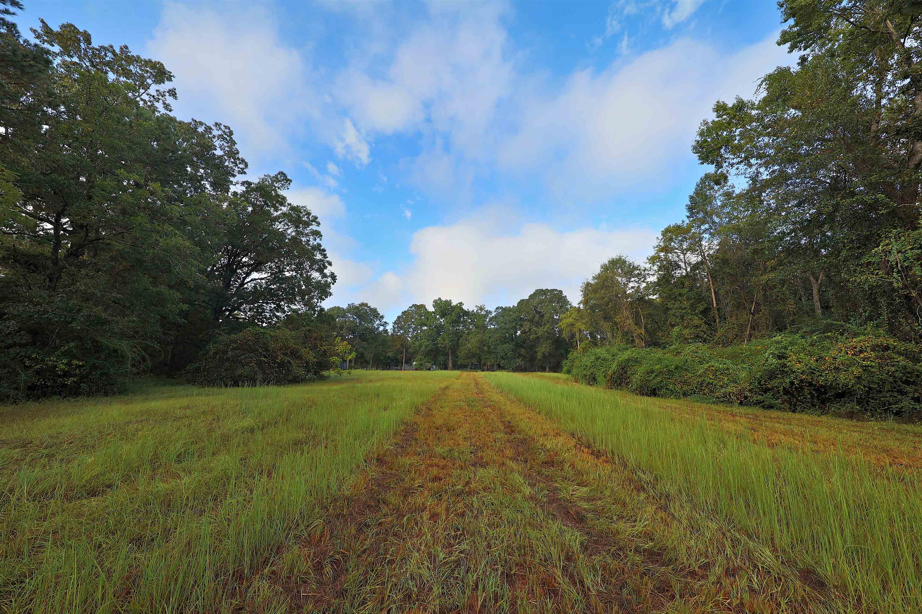 23481 Highway 19 Ochlocknee, GA 31773 - Photo 3 of 26