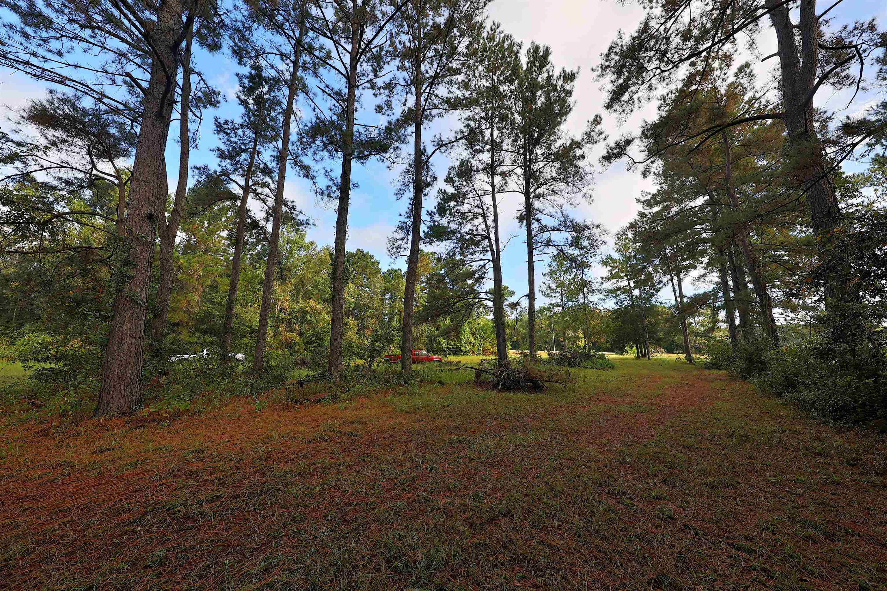 23481 Highway 19 Ochlocknee, GA 31773 - Photo 5 of 26